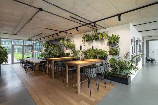 Cafeteria Stehtische © HGEsch Sitzgelegenheiten und Essbereich in der Cafeteria der weisenburger Zentrale mit vielen Pflanzen und warmen Licht